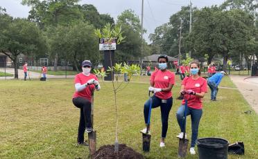 TotalEnergies Employees Planting Trees